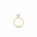 Round Brilliant Pavé Band Lab-Grown Diamond Ring - Image 4