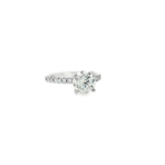 Round Brilliant Pavé Band Lab-Grown Diamond Ring - Image 7